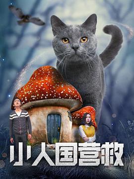 国产精品视频网