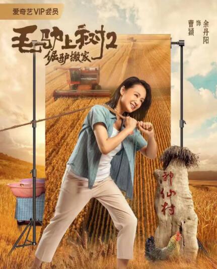 办公室的呻吟声
