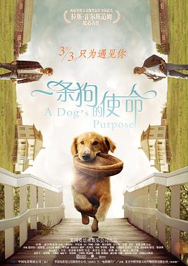 欧美日韩不卡视频