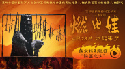 成人av播放